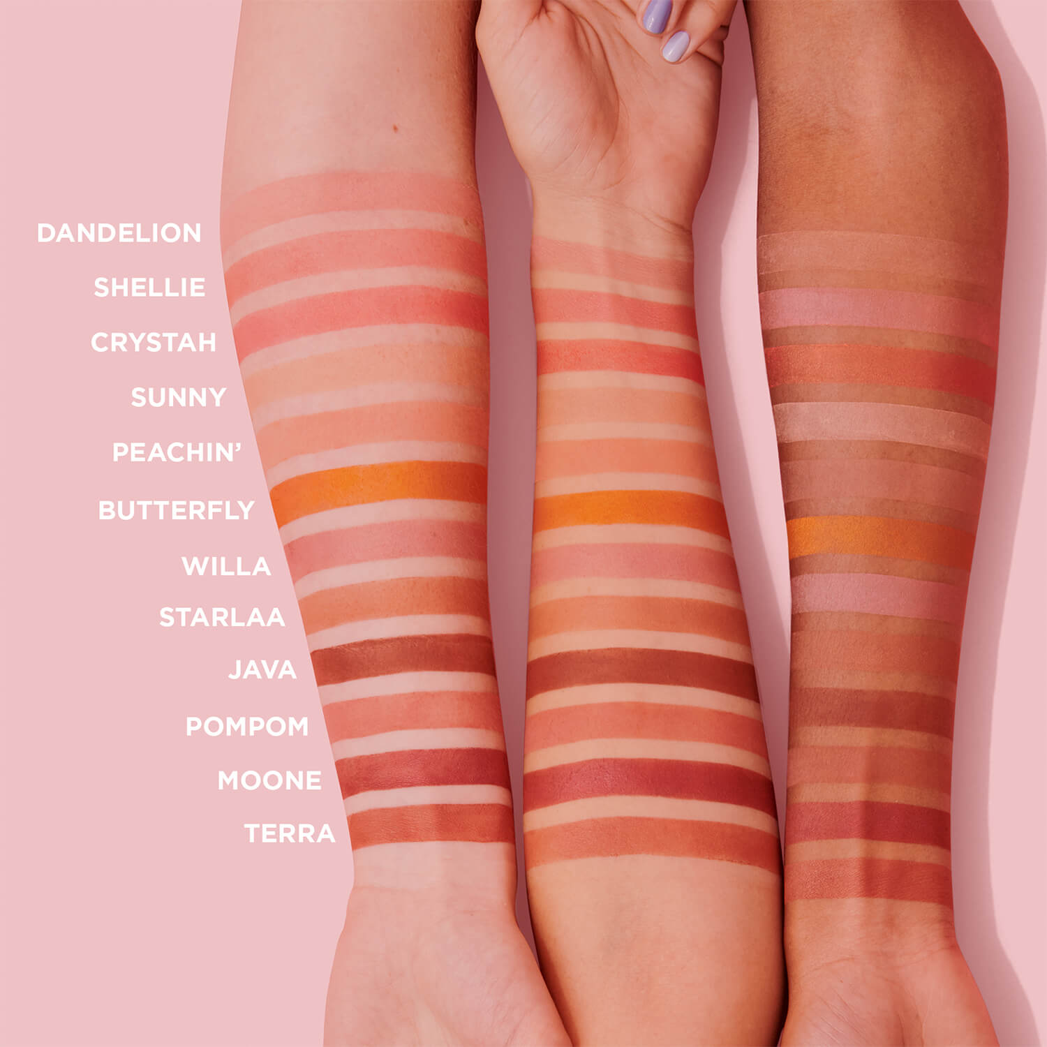 BOX O&acute;POWDER BLUSH (RUBOR EN POLVO)